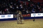 Quadrille - 00714
